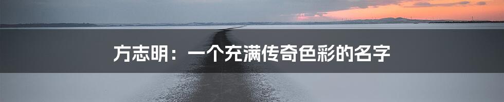 方志明：一个充满传奇色彩的名字