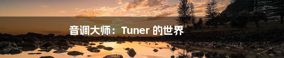 音调大师：Tuner 的世界