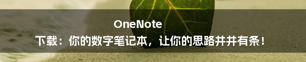 OneNote 下载：你的数字笔记本，让你的思路井井有条！