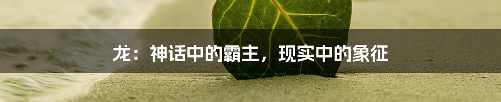 龙：神话中的霸主，现实中的象征