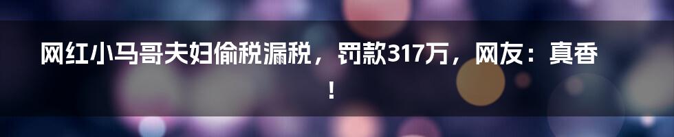 网红小马哥夫妇偷税漏税，罚款317万，网友：真香！