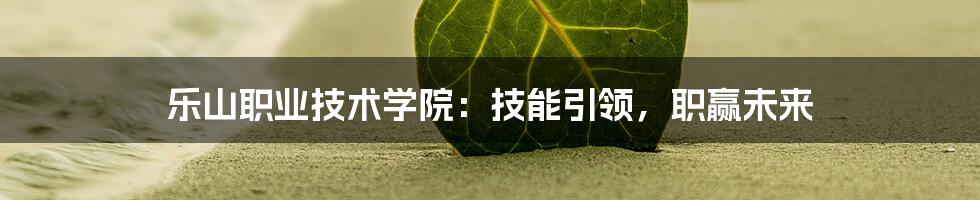 乐山职业技术学院：技能引领，职赢未来