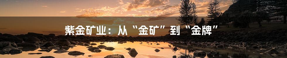 紫金矿业：从“金矿”到“金牌”