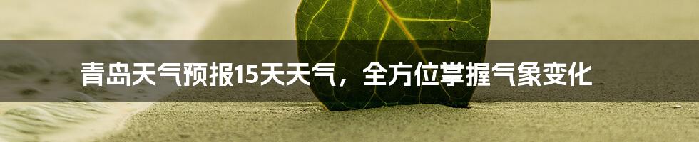 青岛天气预报15天天气，全方位掌握气象变化