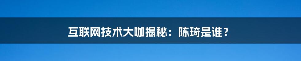 互联网技术大咖揭秘：陈琦是谁？