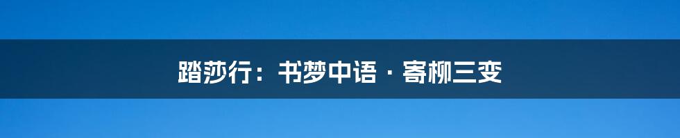 踏莎行：书梦中语·寄柳三变