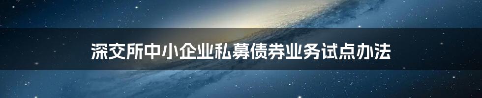 深交所中小企业私募债券业务试点办法