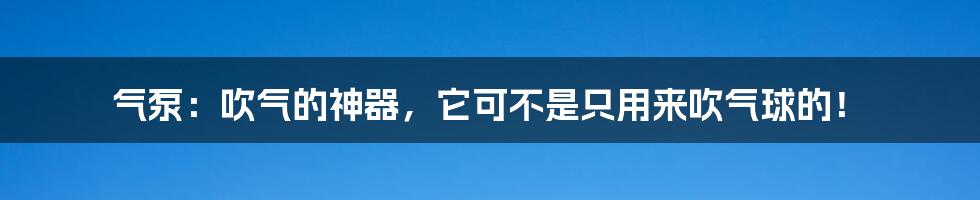 气泵：吹气的神器，它可不是只用来吹气球的！