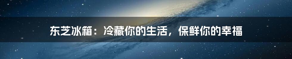 东芝冰箱：冷藏你的生活，保鲜你的幸福