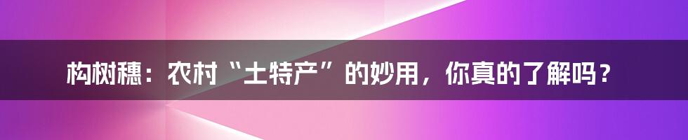 构树穗：农村“土特产”的妙用，你真的了解吗？