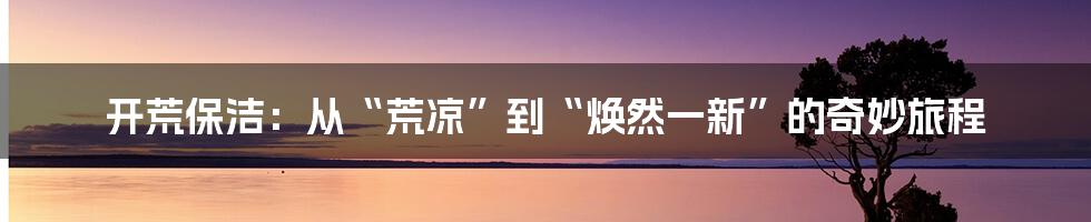 开荒保洁：从“荒凉”到“焕然一新”的奇妙旅程