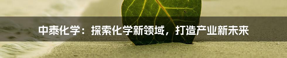 中泰化学：探索化学新领域，打造产业新未来