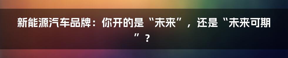 新能源汽车品牌：你开的是“未来”，还是“未来可期”？