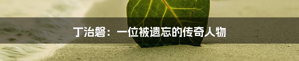 丁治磐：一位被遗忘的传奇人物