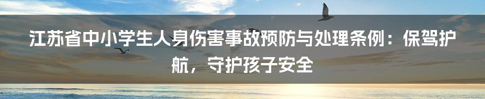 江苏省中小学生人身伤害事故预防与处理条例：保驾护航，守护孩子安全