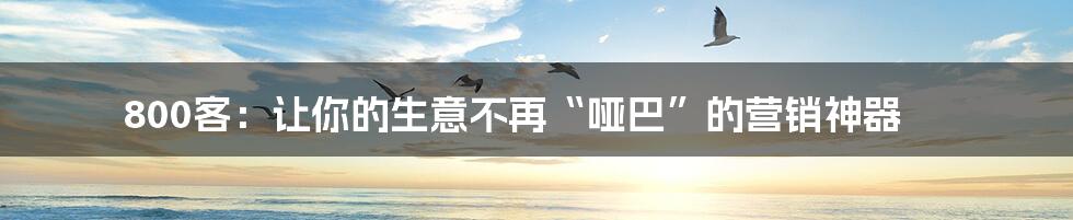 800客：让你的生意不再“哑巴”的营销神器