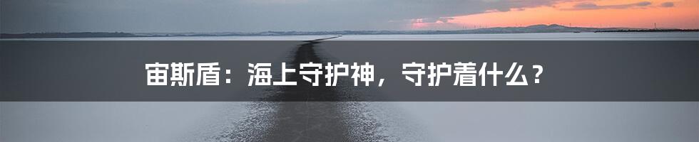 宙斯盾：海上守护神，守护着什么？