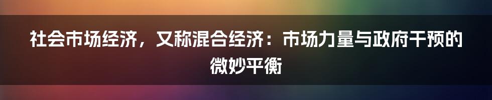 社会市场经济，又称混合经济：市场力量与政府干预的微妙平衡