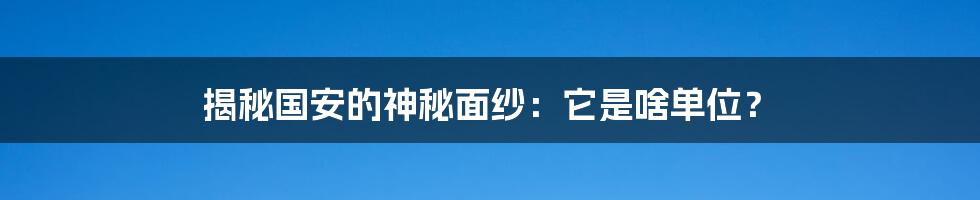 揭秘国安的神秘面纱：它是啥单位？