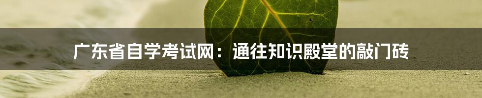 广东省自学考试网：通往知识殿堂的敲门砖