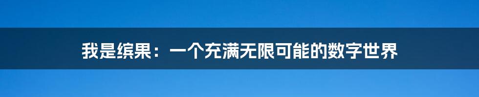 我是缤果：一个充满无限可能的数字世界