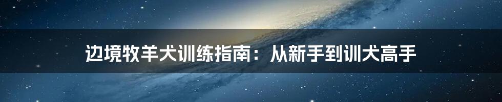 边境牧羊犬训练指南：从新手到训犬高手