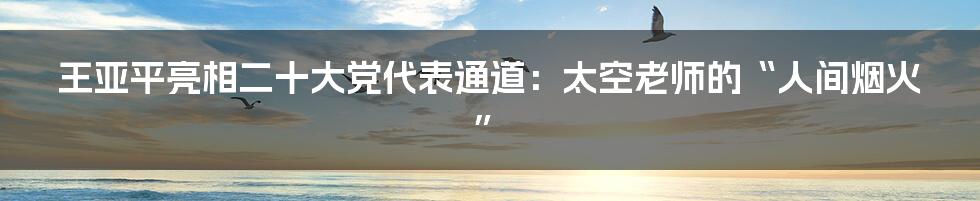 王亚平亮相二十大党代表通道：太空老师的“人间烟火”