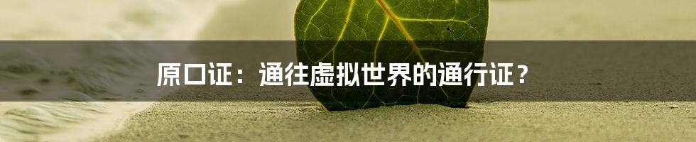 原口证：通往虚拟世界的通行证？