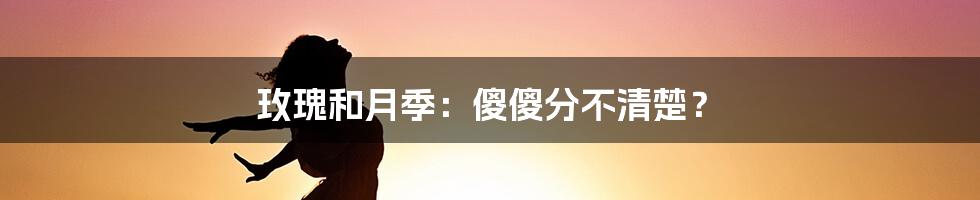 玫瑰和月季：傻傻分不清楚？