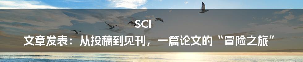 SCI 文章发表：从投稿到见刊，一篇论文的“冒险之旅”