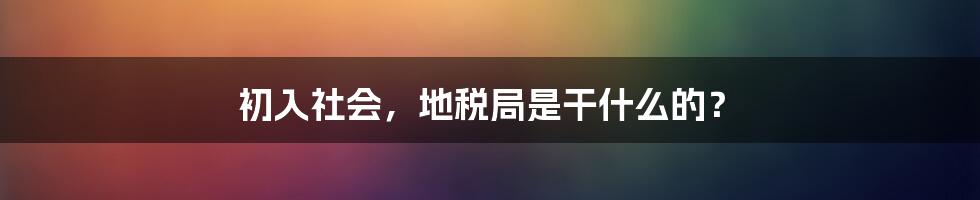 初入社会，地税局是干什么的？