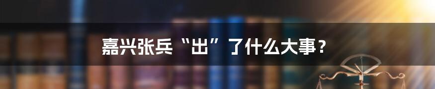 嘉兴张兵“出”了什么大事？