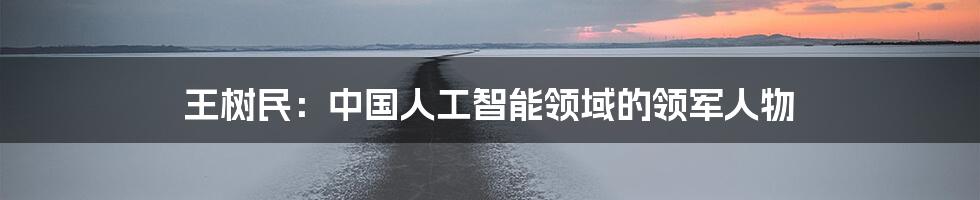 王树民：中国人工智能领域的领军人物