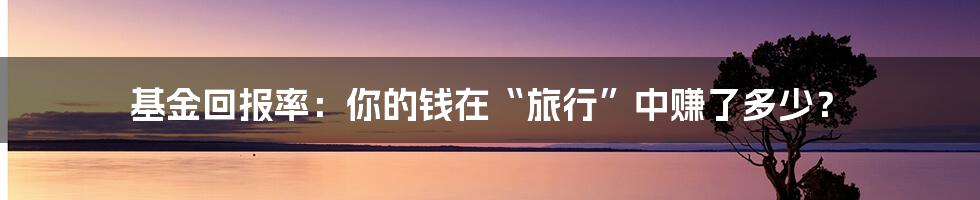 基金回报率：你的钱在“旅行”中赚了多少？