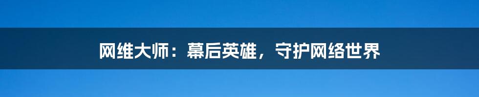 网维大师：幕后英雄，守护网络世界