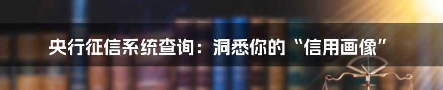 央行征信系统查询：洞悉你的“信用画像”