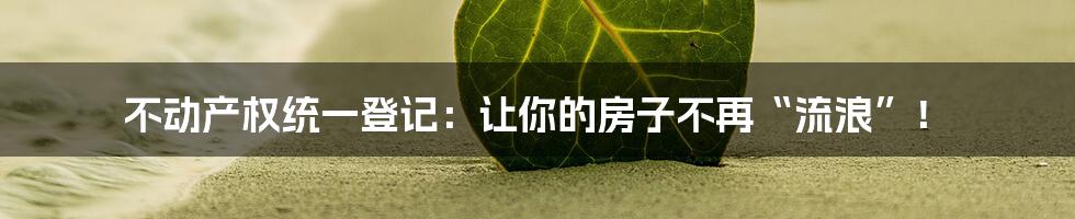 不动产权统一登记：让你的房子不再“流浪”！