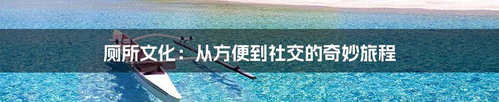 厕所文化：从方便到社交的奇妙旅程