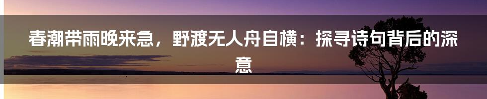 春潮带雨晚来急，野渡无人舟自横：探寻诗句背后的深意