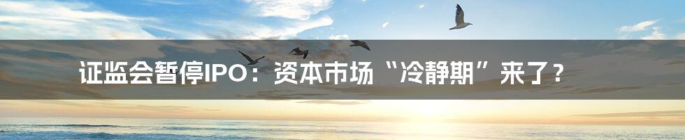 证监会暂停IPO：资本市场“冷静期”来了？