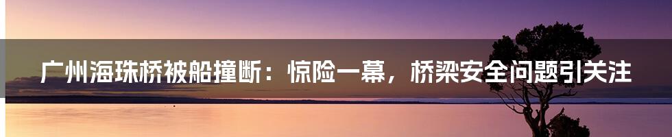 广州海珠桥被船撞断：惊险一幕，桥梁安全问题引关注