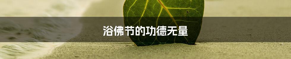 浴佛节的功德无量