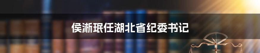 侯淅珉任湖北省纪委书记