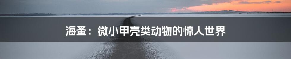 海蚤：微小甲壳类动物的惊人世界