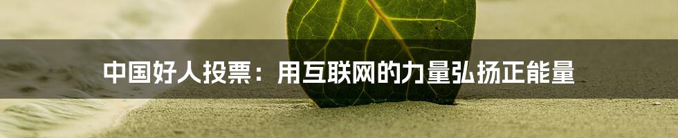 中国好人投票：用互联网的力量弘扬正能量