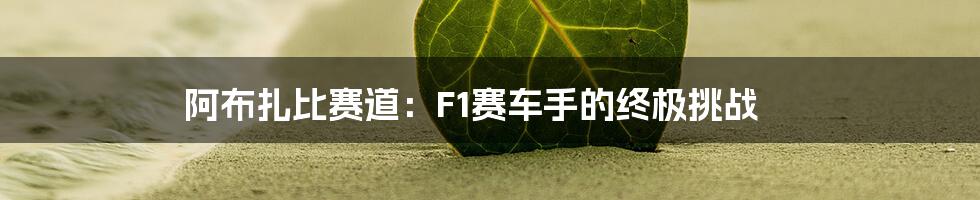 阿布扎比赛道：F1赛车手的终极挑战