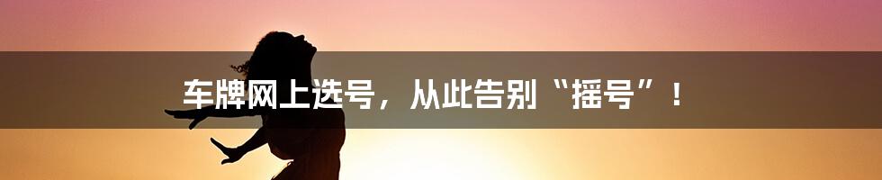 车牌网上选号，从此告别“摇号”！