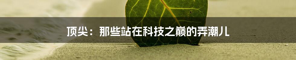 顶尖：那些站在科技之巅的弄潮儿