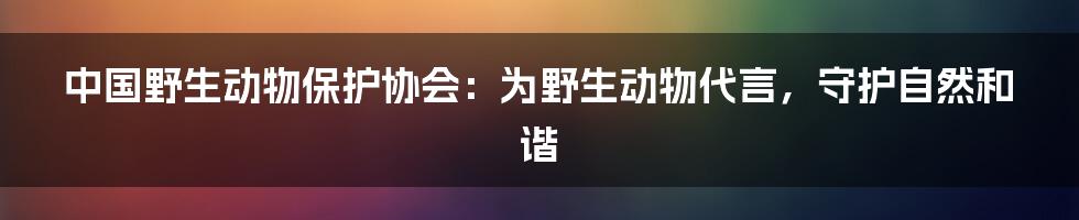 中国野生动物保护协会：为野生动物代言，守护自然和谐