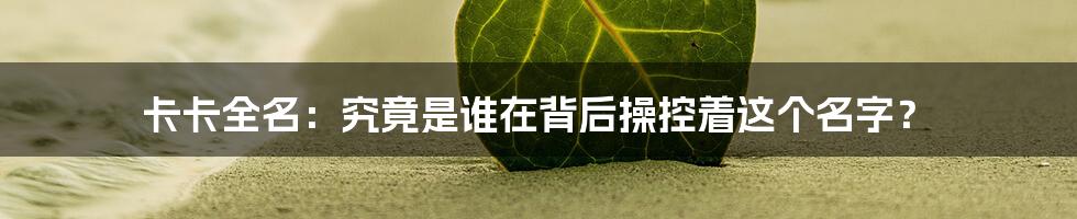 卡卡全名：究竟是谁在背后操控着这个名字？